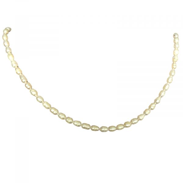COLLAR DAFNE