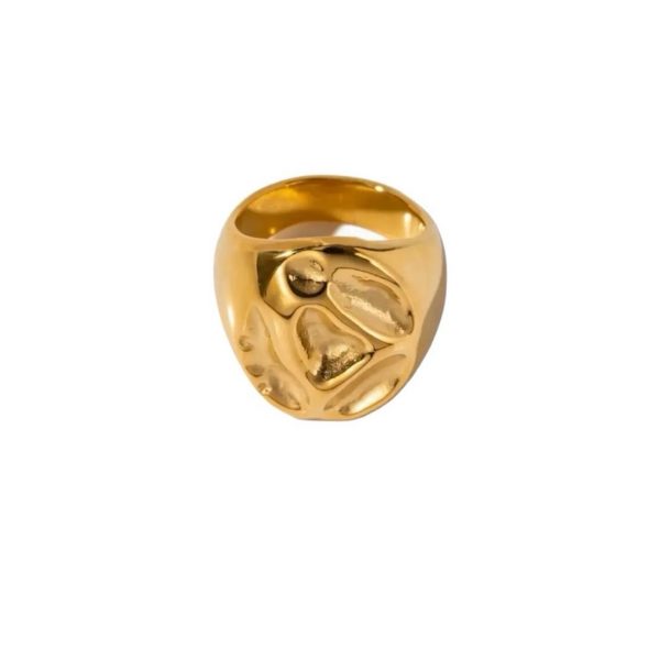 ANILLO TOTTORI