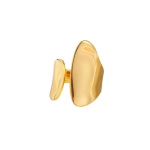ANILLO GIGES